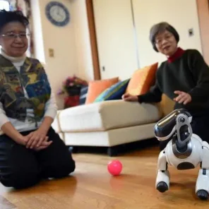 Robot pets equally effective for reliving loneliness