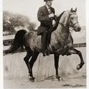 El Magato