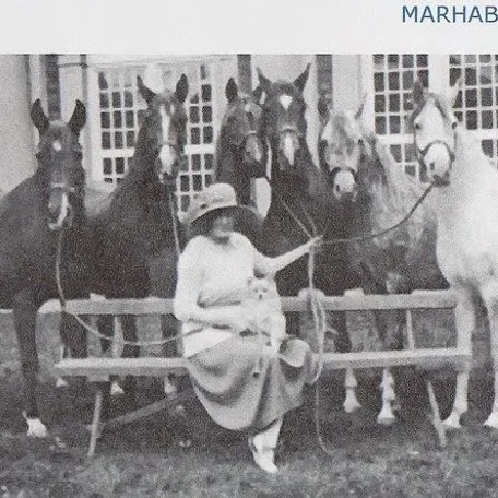 Marhaba 1911 bay arabian mare.