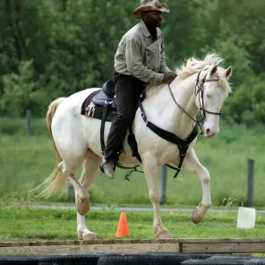 Advantage Horsemanship