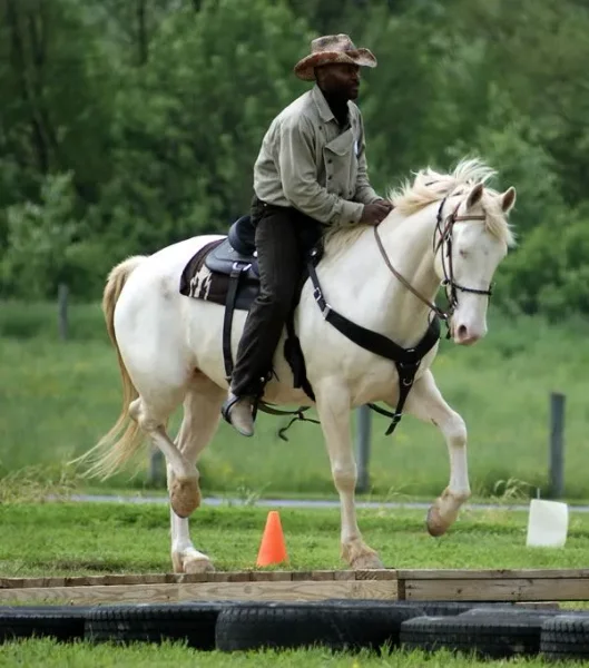 Scott Purdum Horsemanship