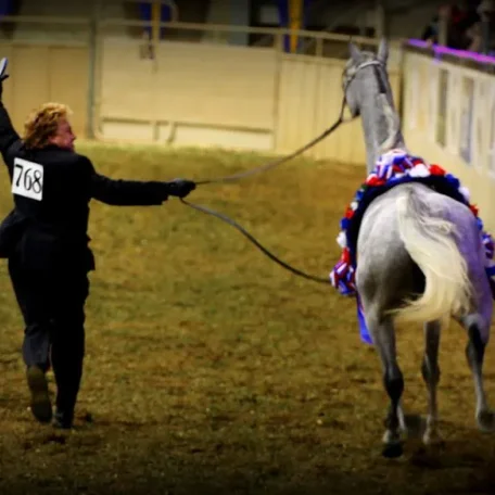 Luxemere Jizette U.S. National Champion Filly with David Boggs
