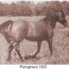 Ramghaza