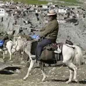 Zaniskari