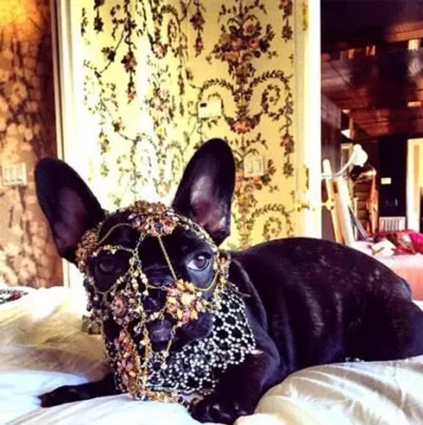 Lady Gaga having all kinds of fun with Asia (Batpig)