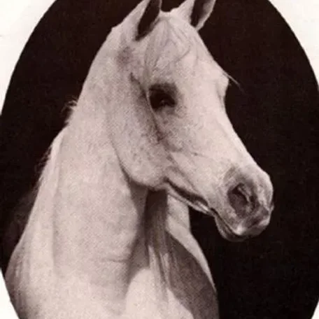 *Ansata Bint Mabrouka
