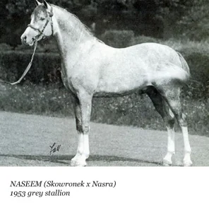 Naseem