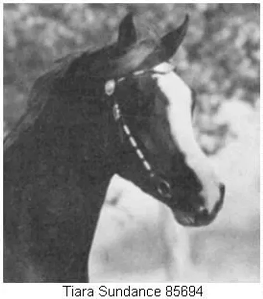 Tiara Sundance