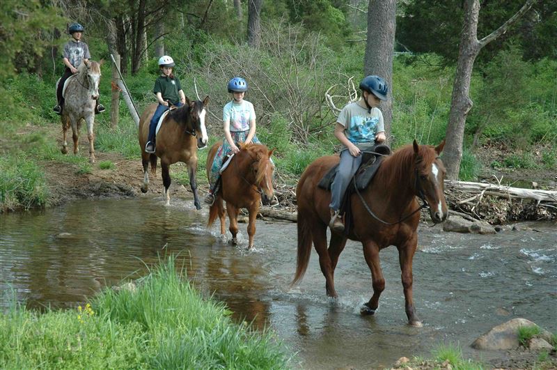 Is Horse Trail Riding For Me?