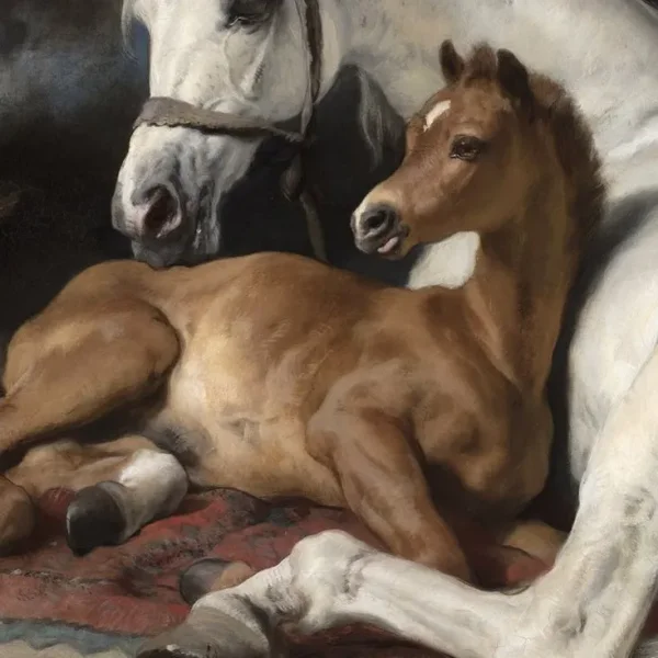 
          Taj Lavender Foal
        