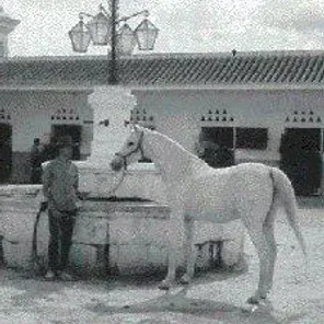 *Palabrita