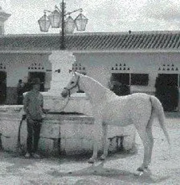 *Palabrita