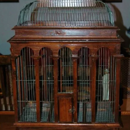 Magnificent Bird Cages