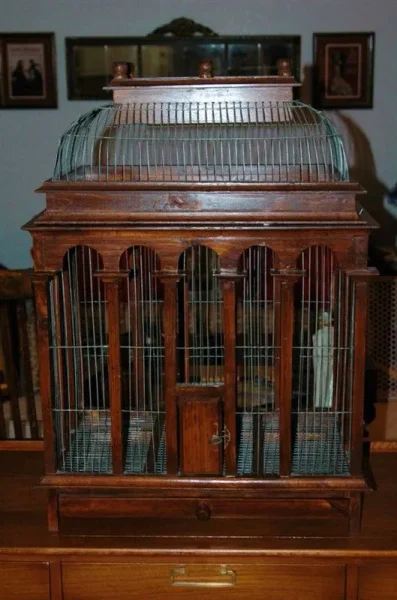 Magnificent Bird Cages