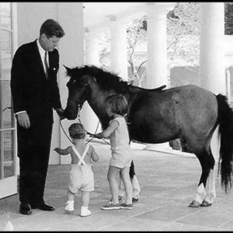 Our U.S. Presidents and some their Pets