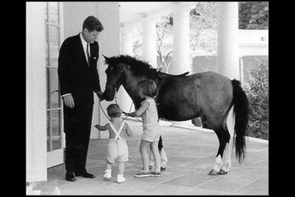 Our U.S. Presidents and some their Pets