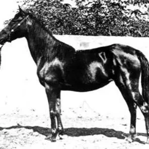 Ghazieh