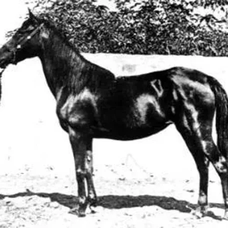 Ghazieh
