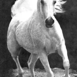 ANSATA BINT MABROUKA