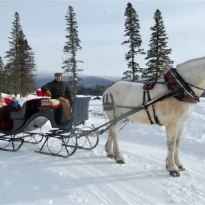Sleighs in Winter