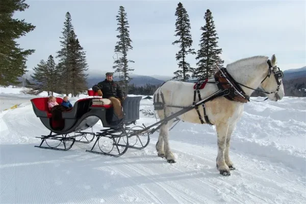 sleigh ride - tally ho!