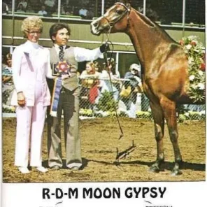 RDM MOON GYPSY