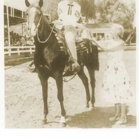 AMIRTA
AHR*6101 Chestnut 1950