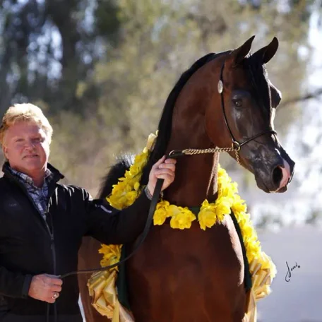 National Champion Polish Bred Stallion...*Pogrom