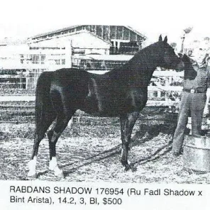 RABDANS SHADOW