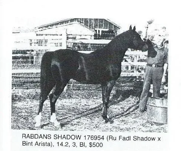 RABDANS SHADOW