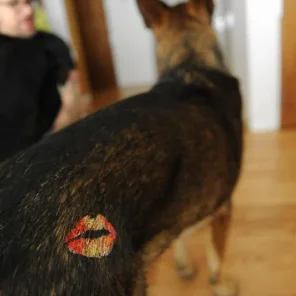 Lady and the tramp stamp
