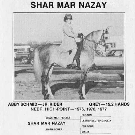 SHAR MAR NAZAY
