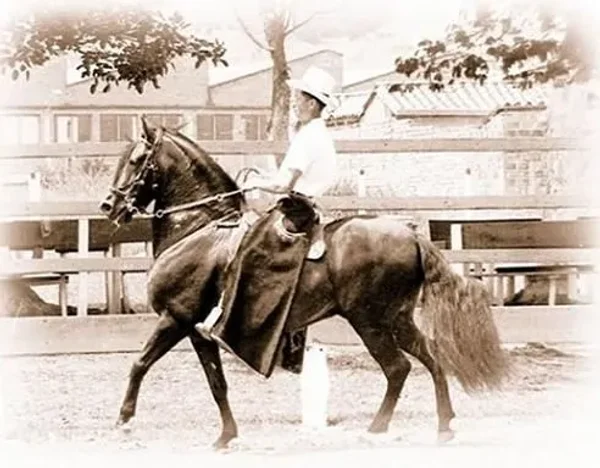 Resorte III