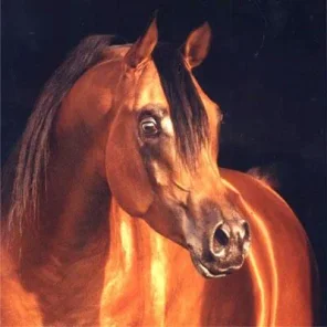 nadir I