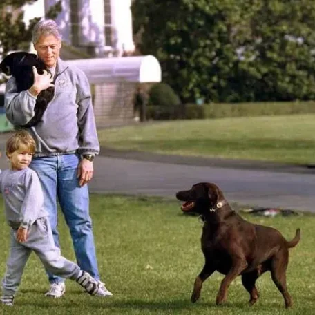 Our U.S. Presidents and some their Pets