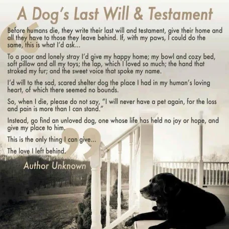 Prose about a Dog's Last Will and Testament