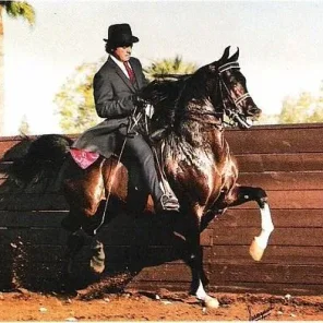 kk bravura