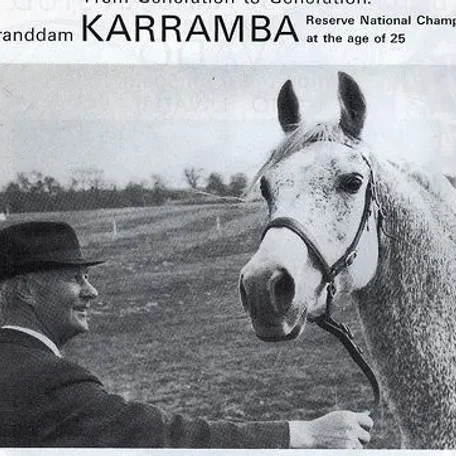 KARRAMBA