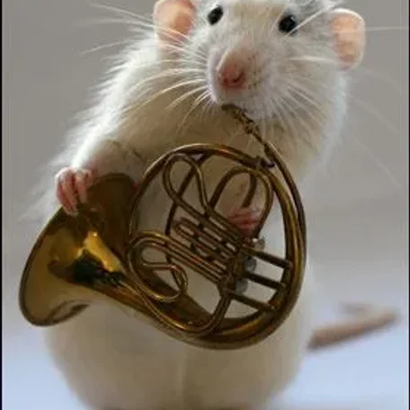 Some More Dalmatian Rats!