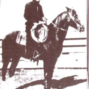 Little Joe Springer