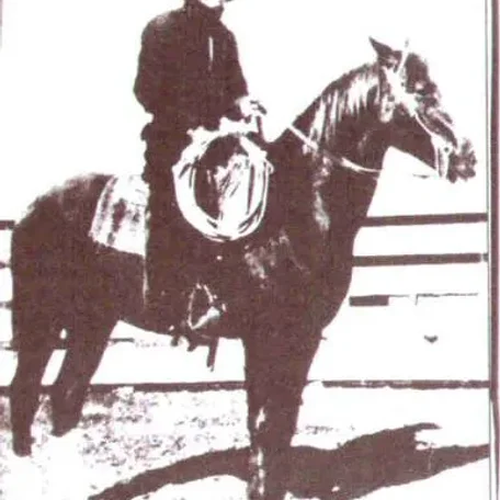 Little Joe Springer