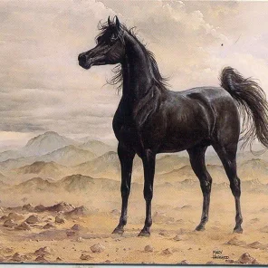 Luxemere Lavender foal 2021