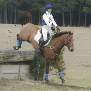 From Race Horse to  Sport Horse