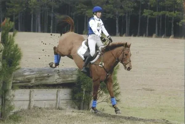 Longfields Farm