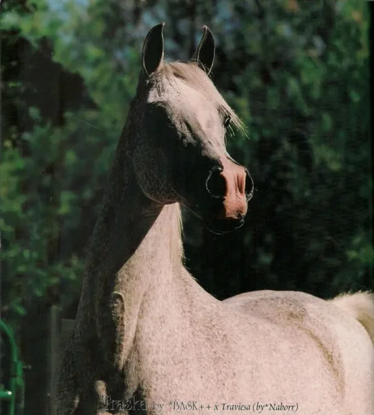 TRASKA
