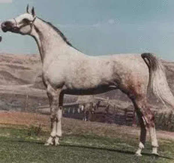 NAHARRA