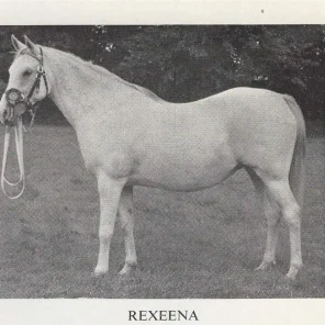 REXEENA