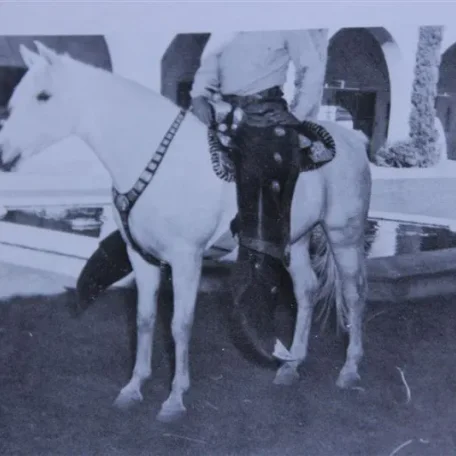 Moneyna (Raseyn x Monica) grey mare, foaled April 7, 1937bred by W.K. Kellogg Institute