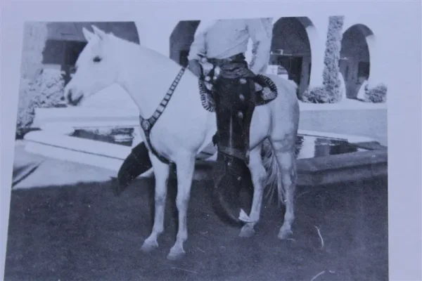 Moneyna (Raseyn x Monica) grey mare, foaled April 7, 1937bred by W.K. Kellogg Institute