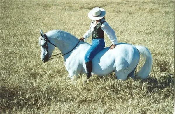 *Sidi-Brahim